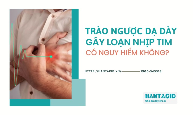 loan-nhip-tim