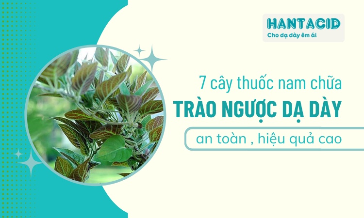 thuoc-nam-chua-trao-nguoc