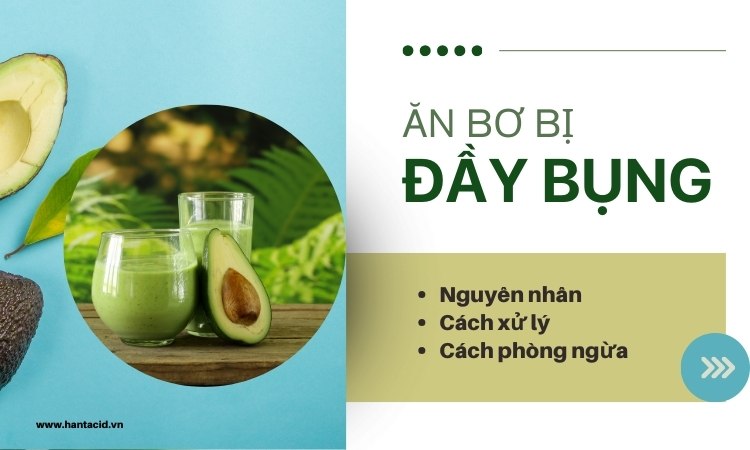 Ăn quả bơ bị đầy bụng – giải quyết làm sao?