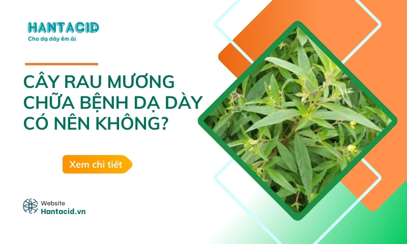 Cây rau mương chữa bệnh dạ dày - 3 mẹo đơn giản tại nhà